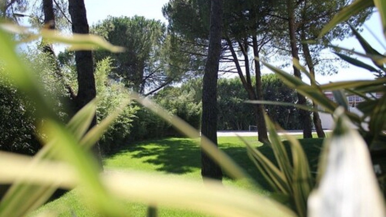 Photo of Others in Costieres