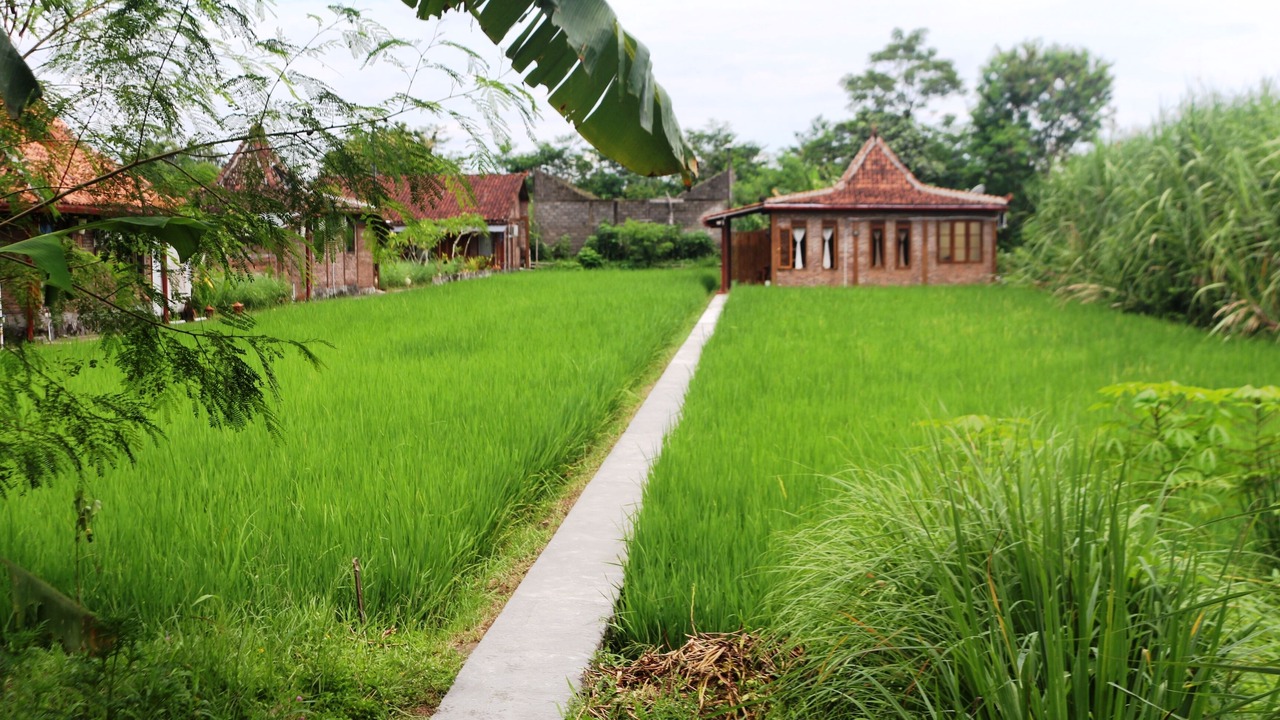 Photo of Outdoor in Sleman