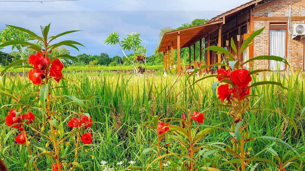 Photo of Outdoor in Sleman
