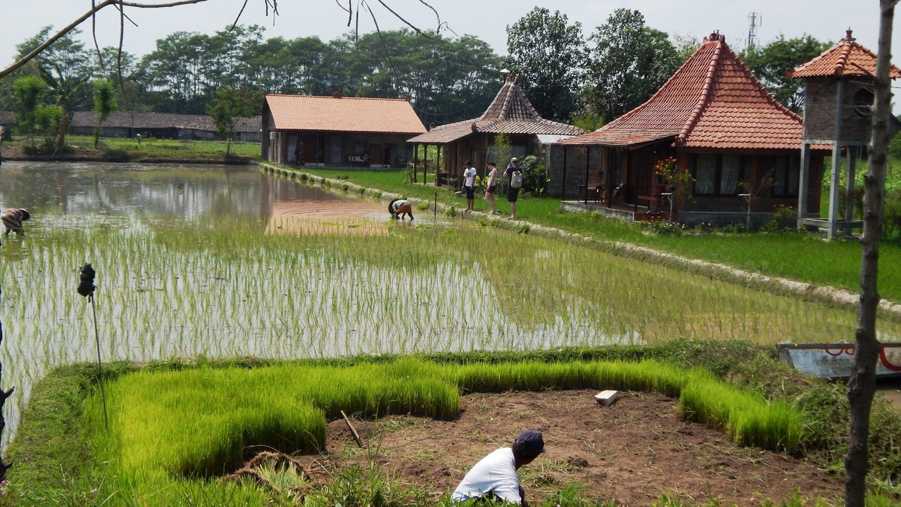 Photo of Outdoor in Sleman