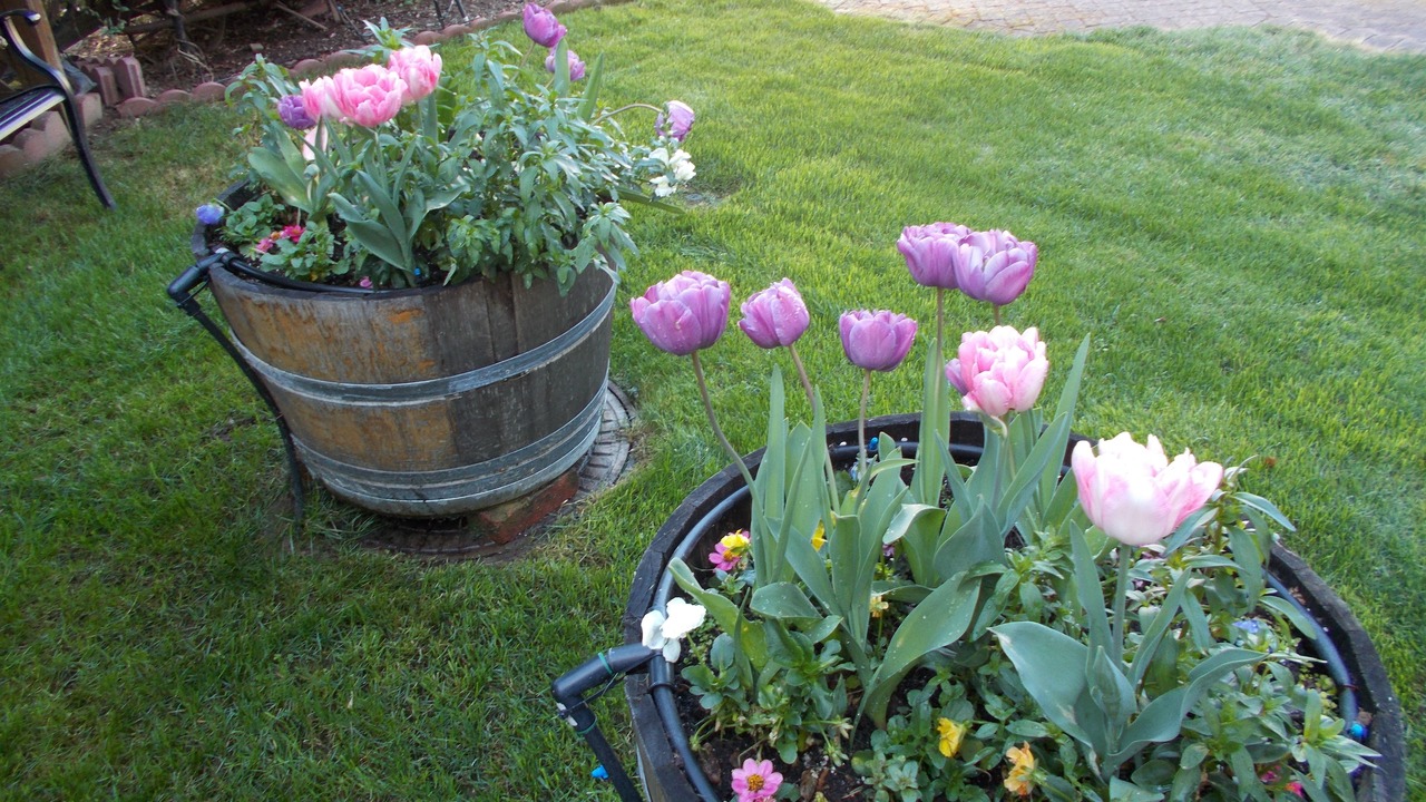 Photo of Outdoor in Sutter Creek