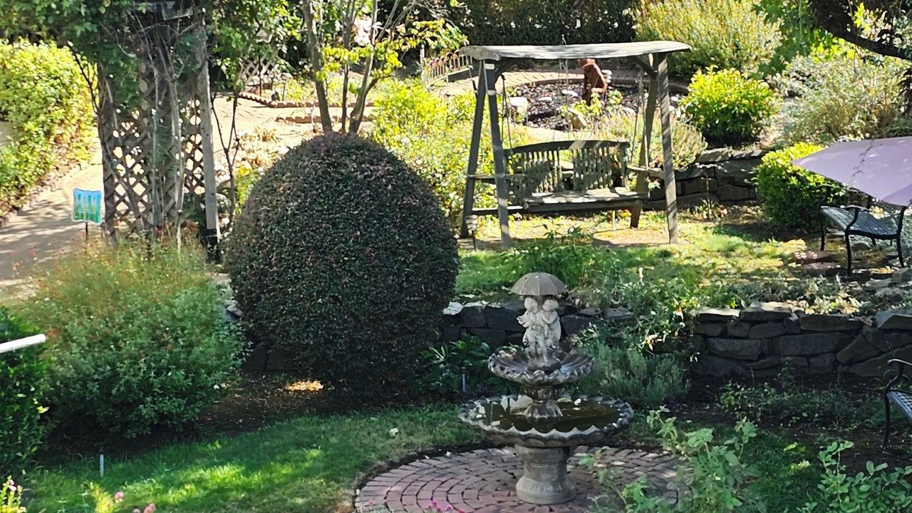 Photo of Outdoor in Sutter Creek