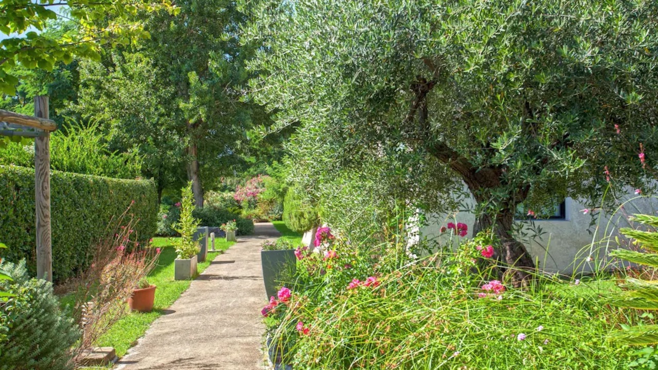 Photo of Outdoor in Casamozza