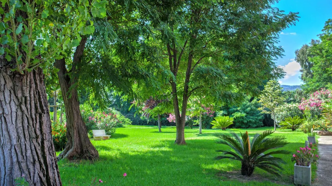 Photo of Outdoor in Casamozza