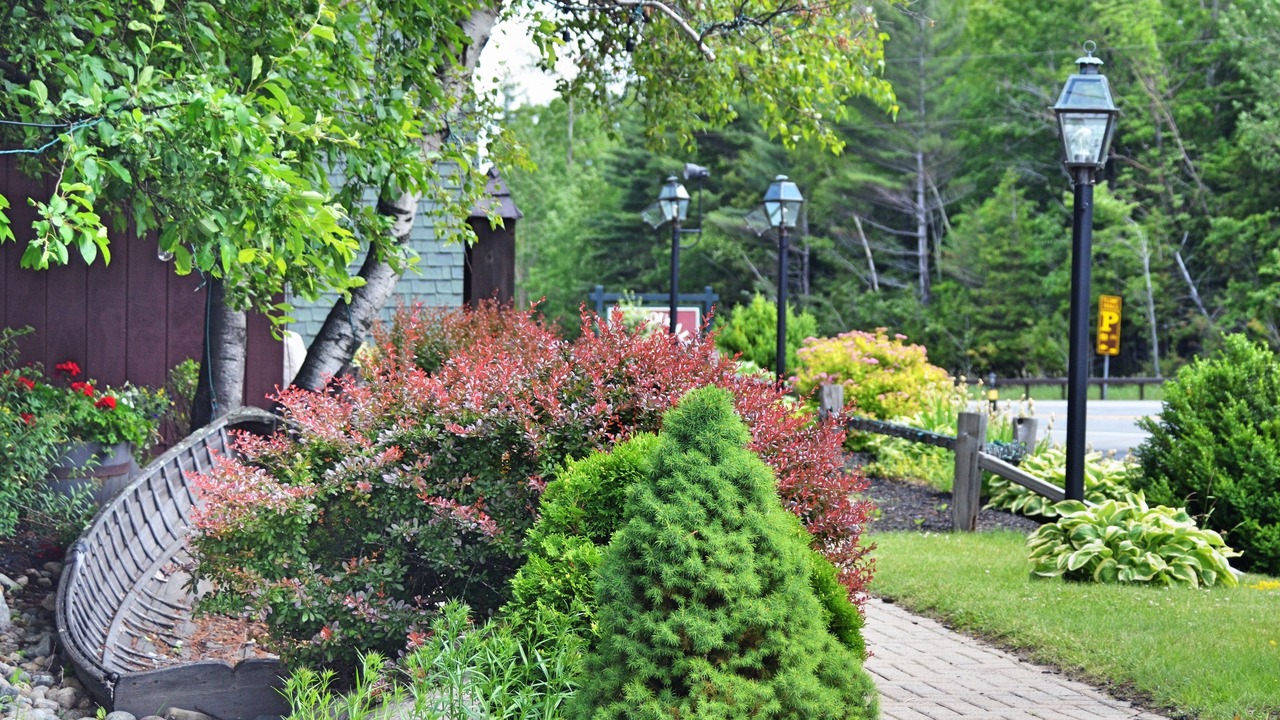 Photo of Outdoor in Wilmington