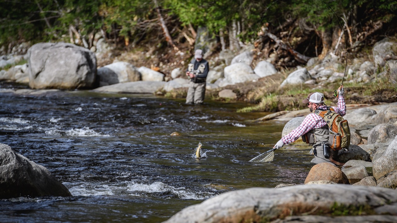 Photo of Others in Wilmington