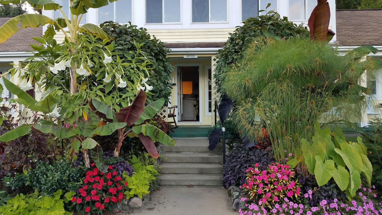 Photo of Outdoor in Laconia