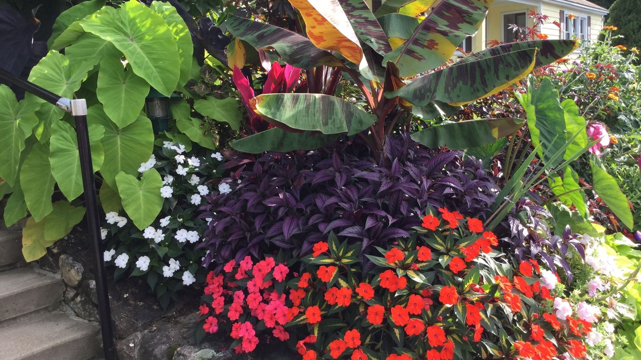 Photo of Outdoor in Laconia