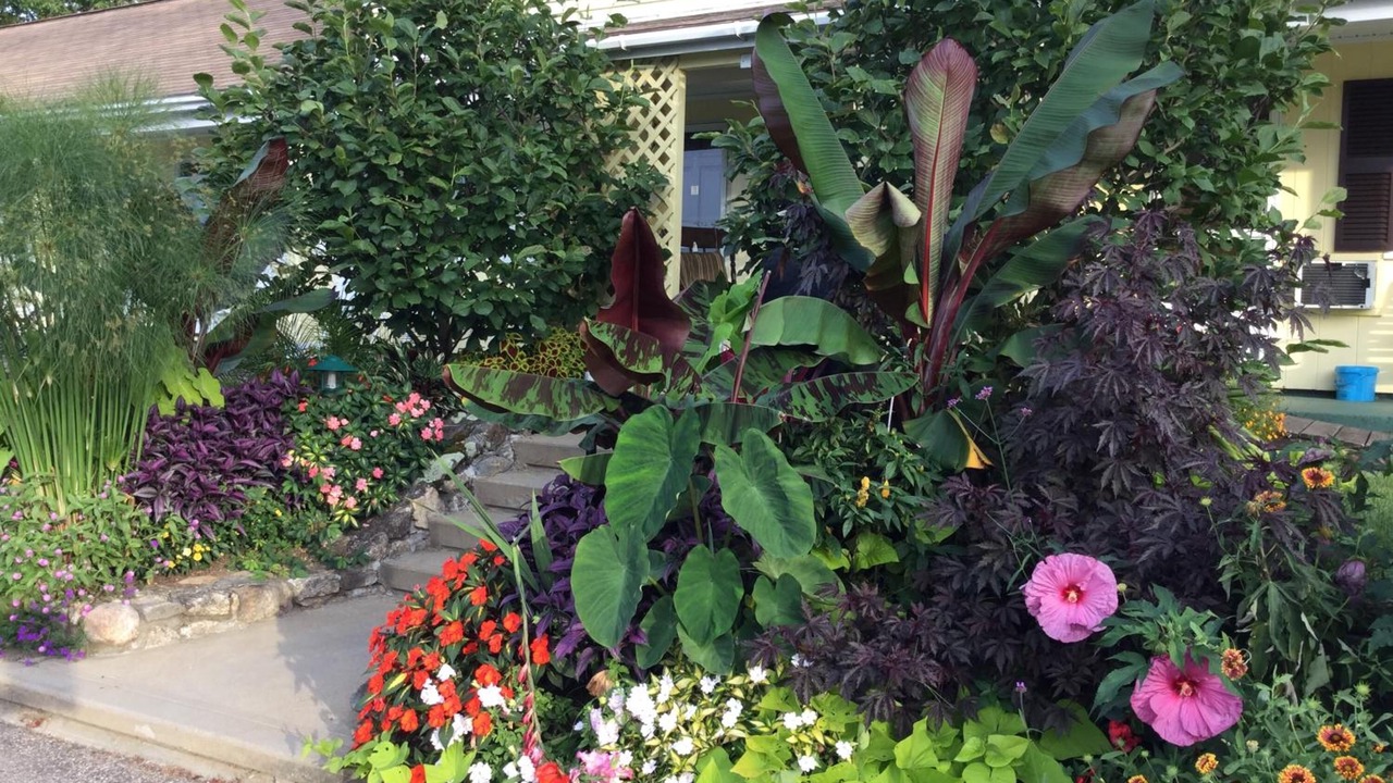 Photo of Outdoor in Laconia