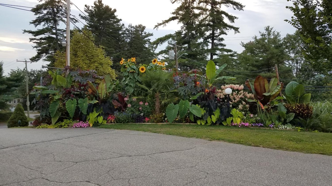 Photo of Outdoor in Laconia