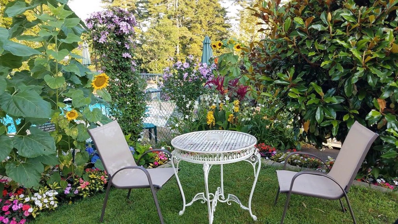 Photo of Outdoor in Laconia