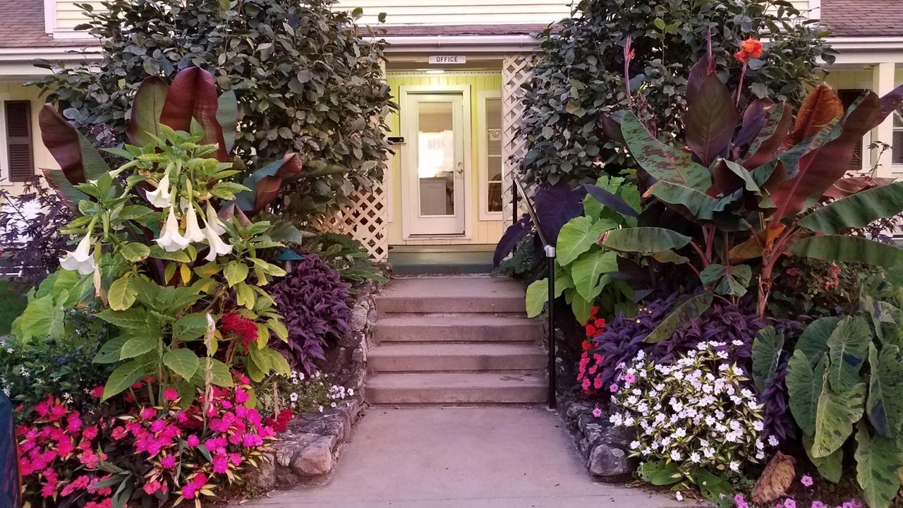 Photo of Outdoor in Laconia