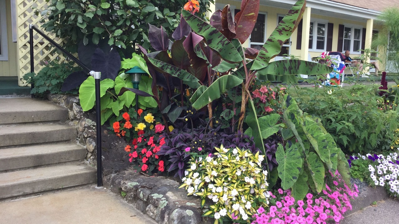 Photo of Outdoor in Laconia