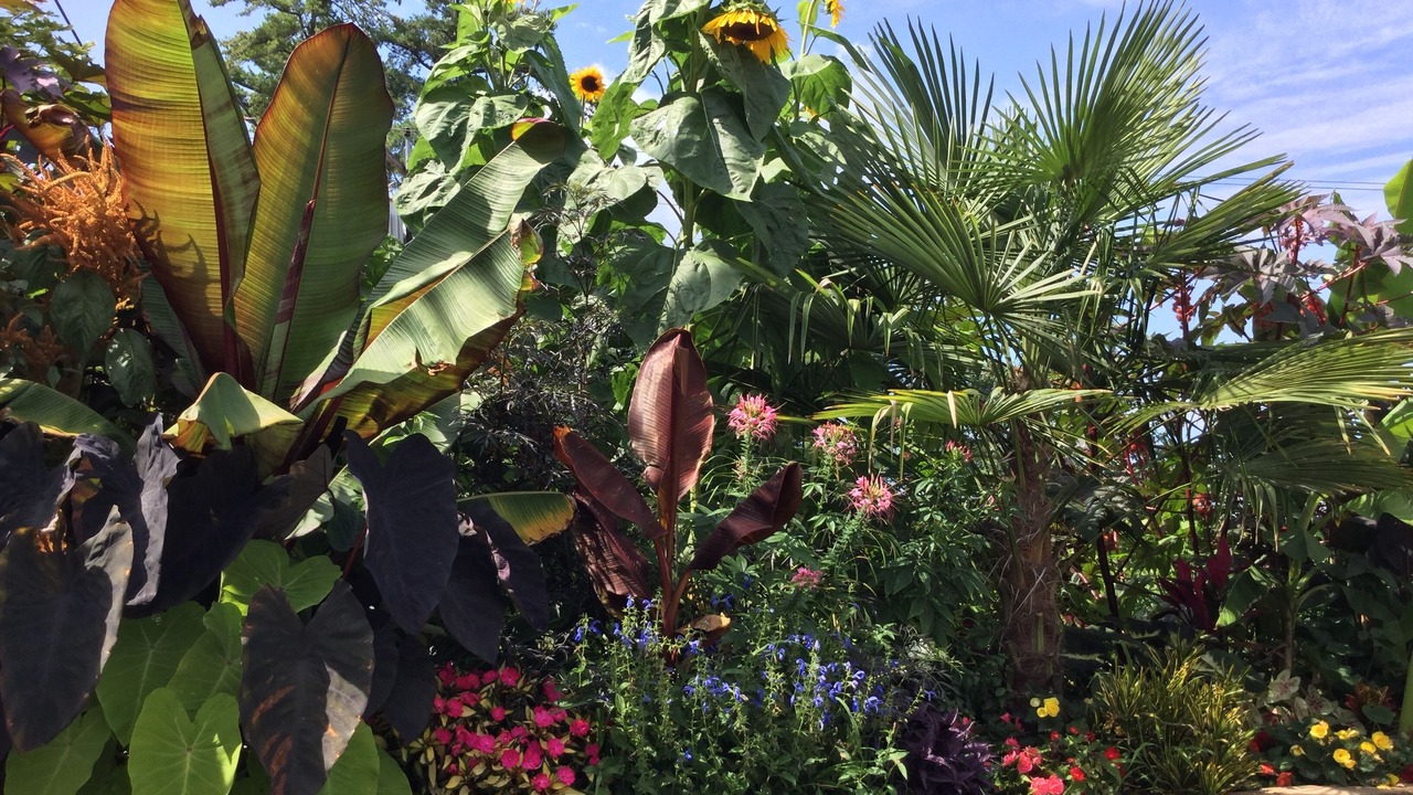 Photo of Outdoor in Laconia