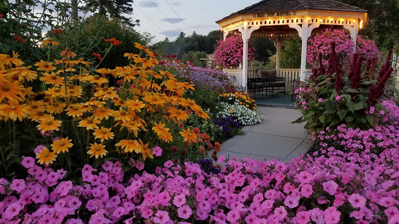 Photo of Outdoor in Laconia