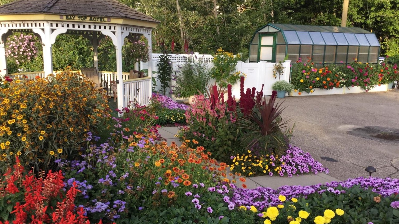 Photo of Outdoor in Laconia