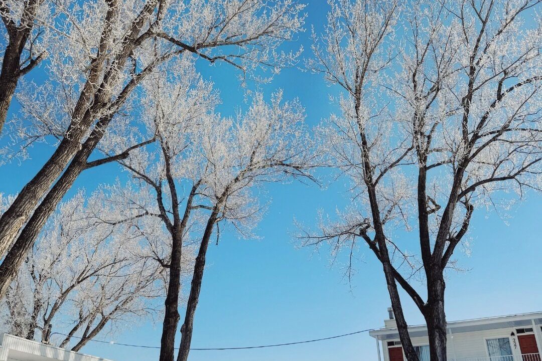 Photo of Outdoor in Chicoutimi