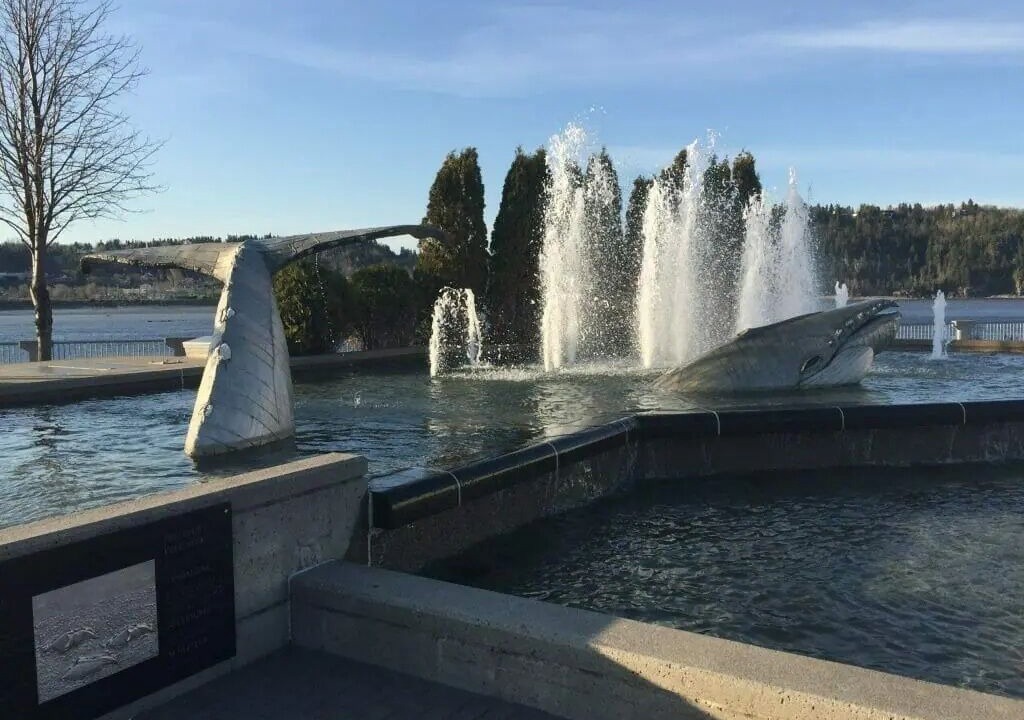 Photo of Others in Chicoutimi