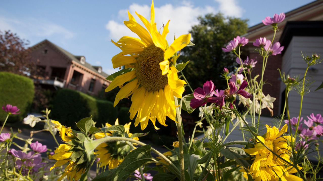Photo of Outdoor in Forest Grove