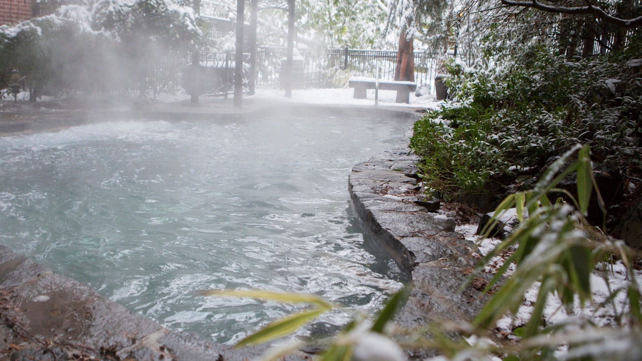 Photo of Outdoor in Forest Grove