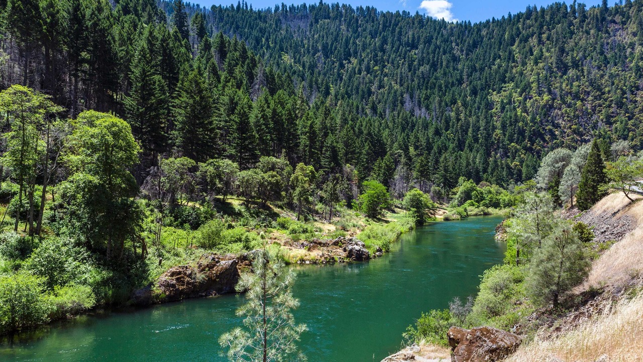 Photo of Others in Douglas City