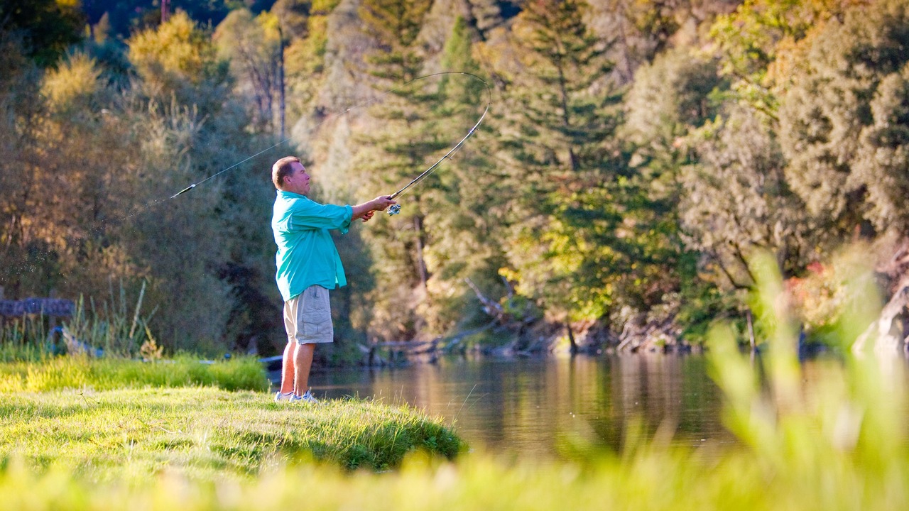 Photo of Others in Douglas City