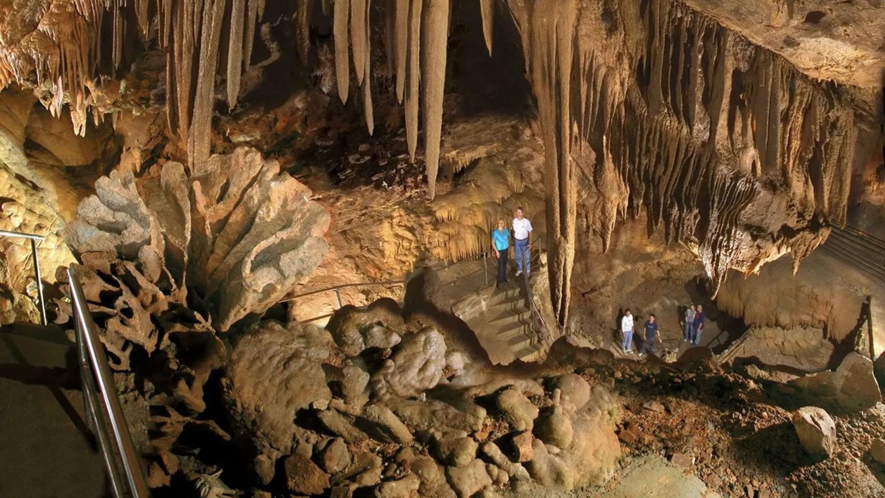 Photo of Others in Douglas City