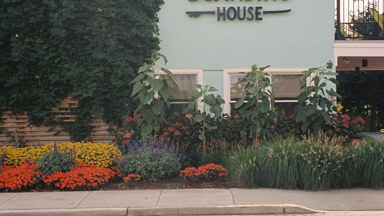 Photo of Outdoor in Cape May