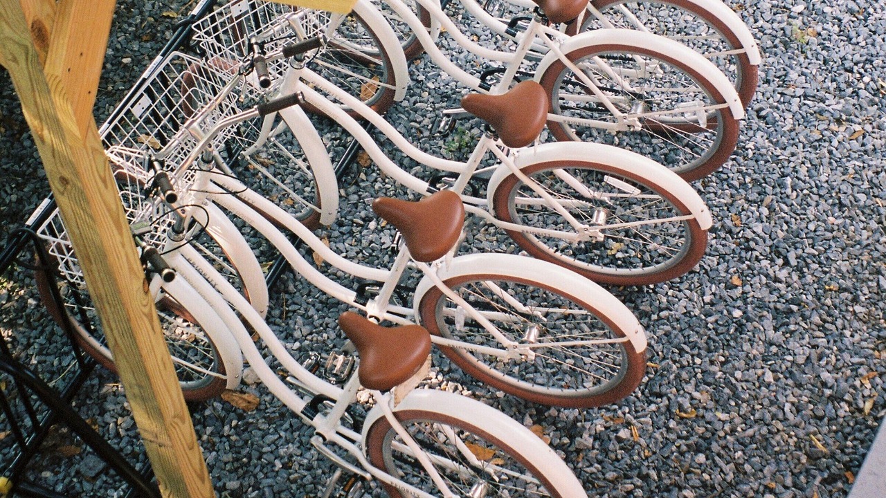 Photo of Outdoor in Cape May