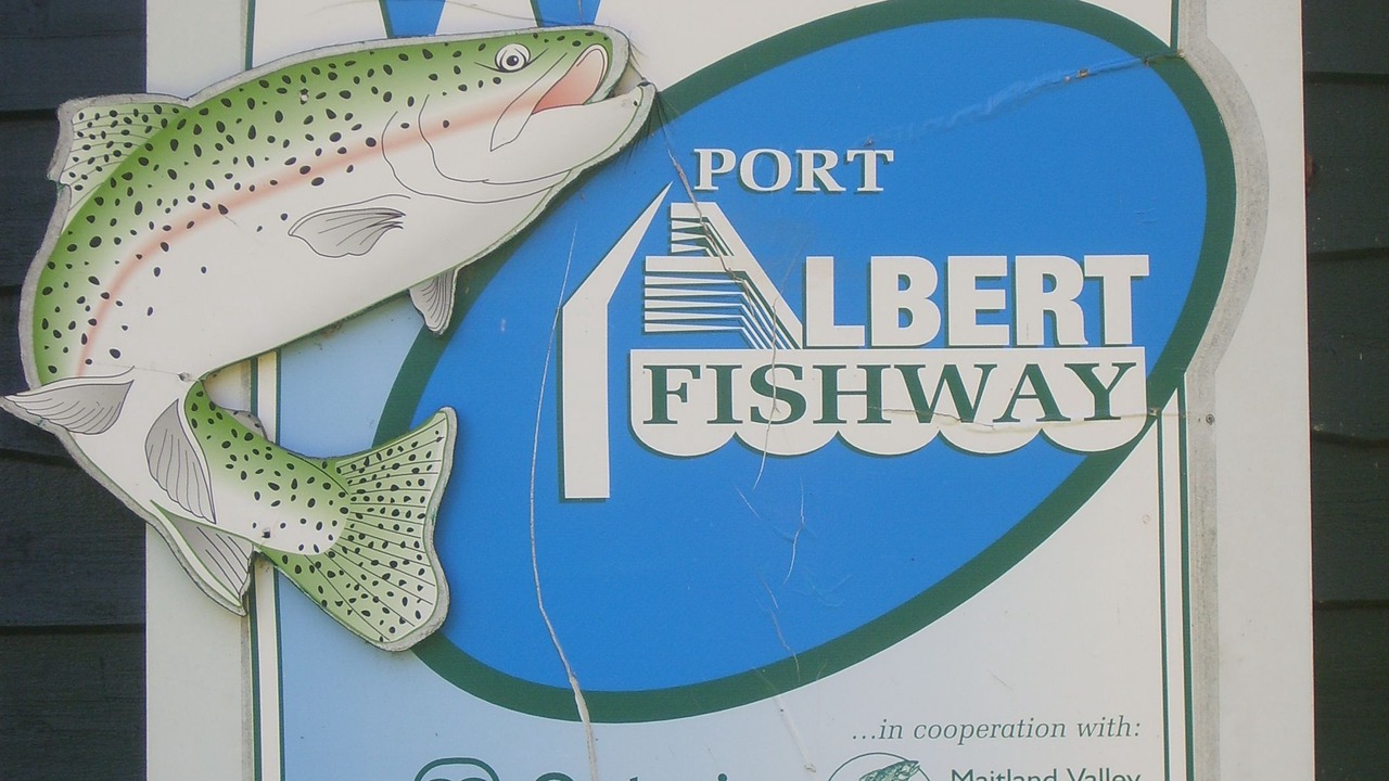 Photo of Others in Port Albert