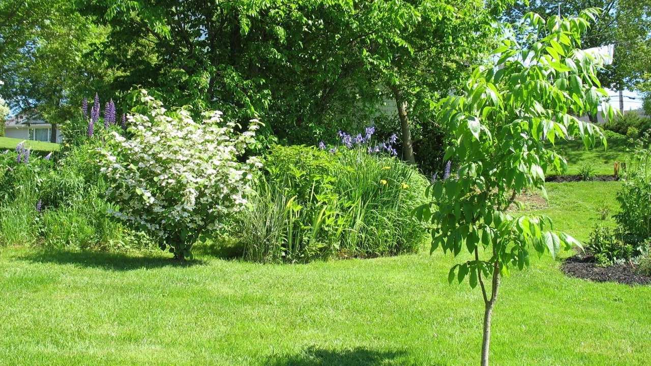 Photo of Outdoor in Stewiacke