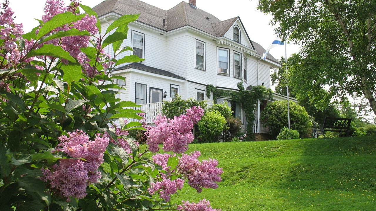 Photo of Outdoor in Stewiacke