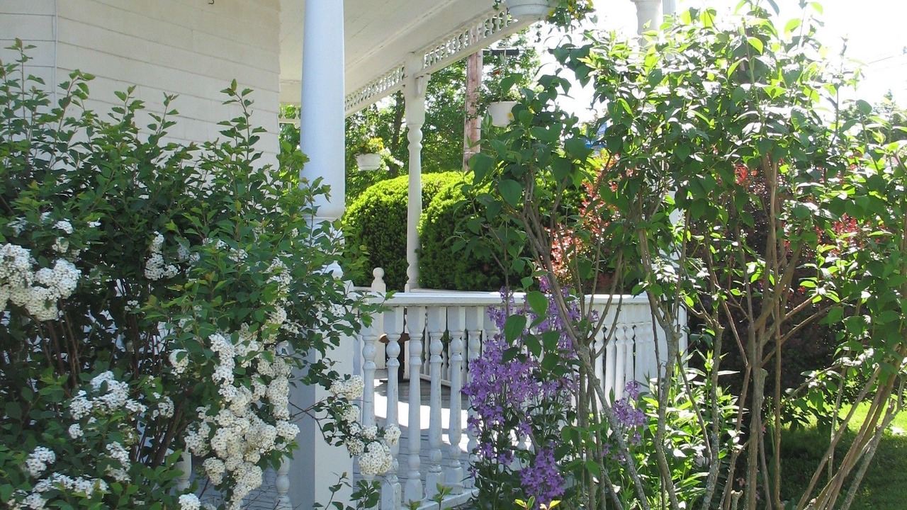 Photo of Outdoor in Stewiacke