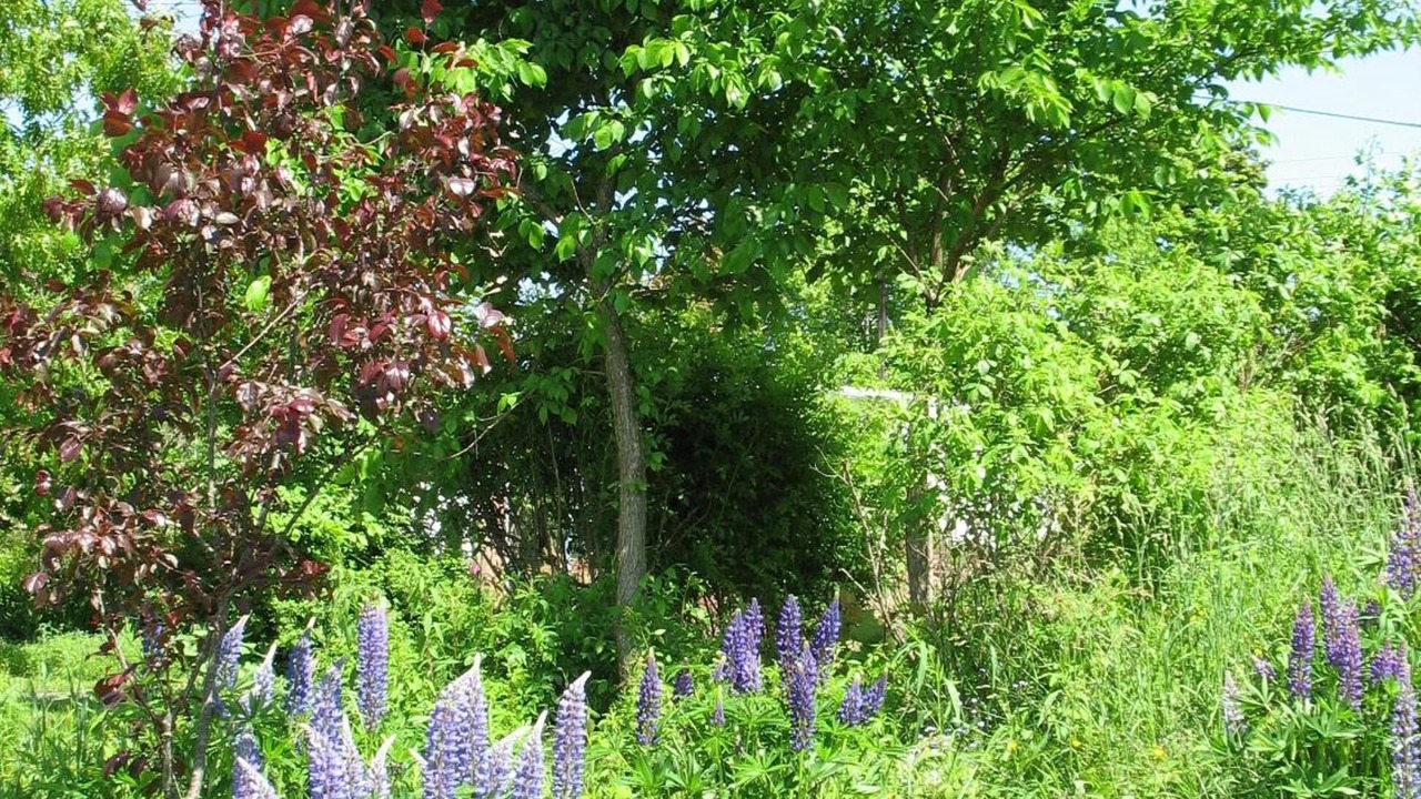 Photo of Outdoor in Stewiacke