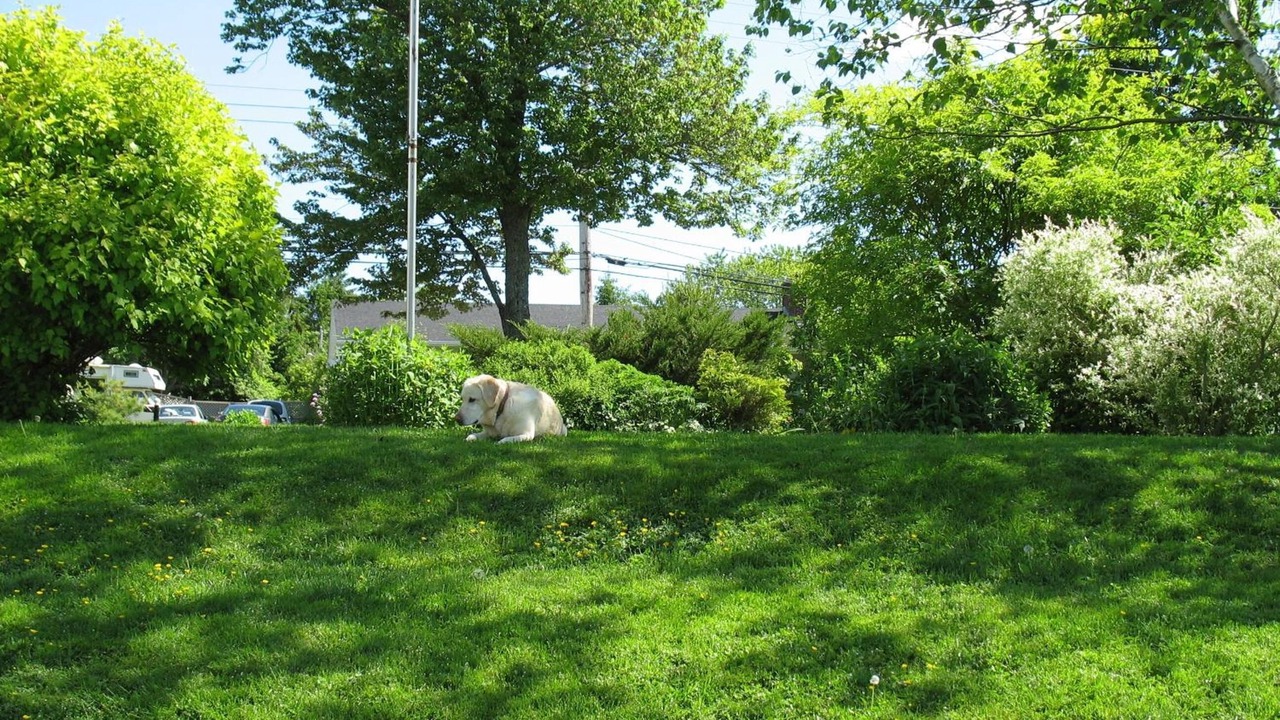 Photo of Outdoor in Stewiacke