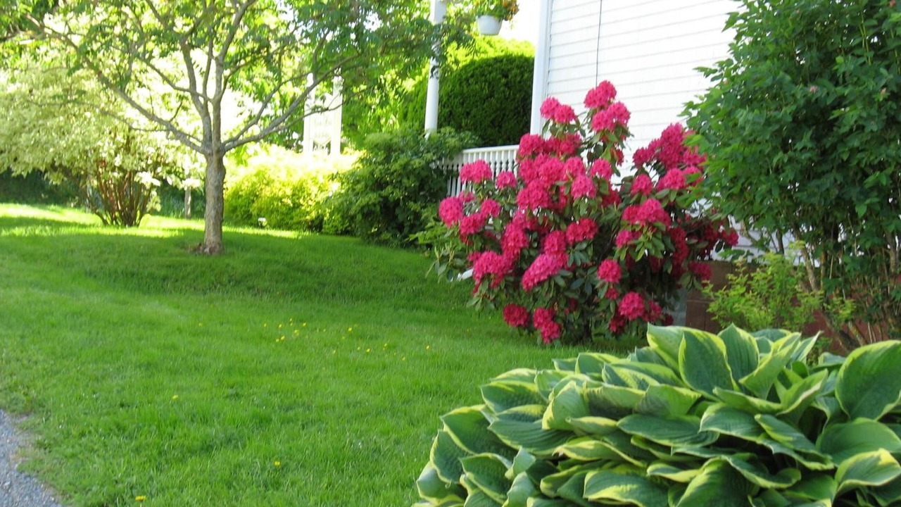 Photo of Outdoor in Stewiacke