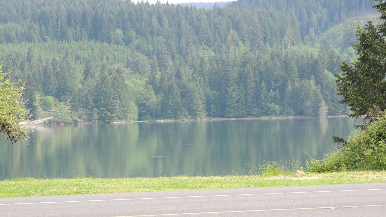 Photo of Others in Sweet Home