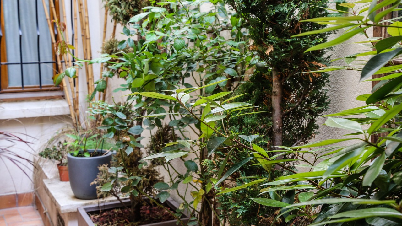 Photo of Outdoor in 5th Arrondissement