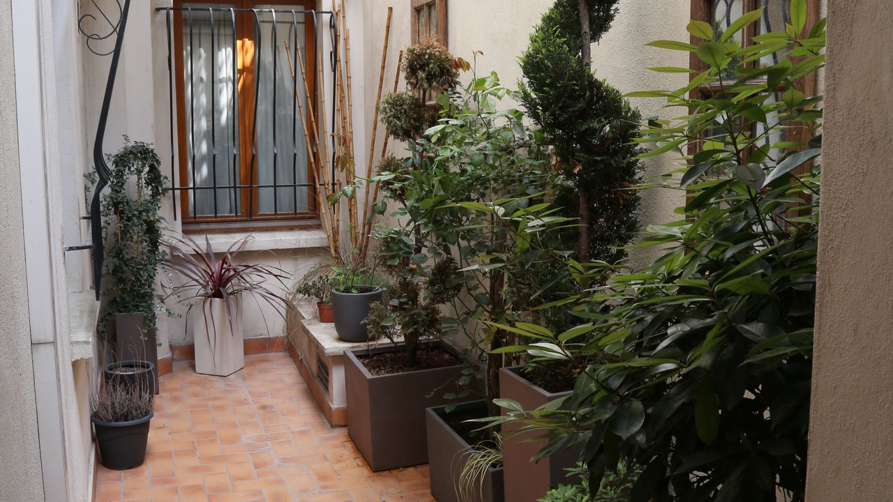 Photo of Outdoor in 5th Arrondissement