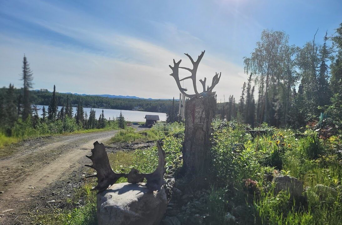 Photo of Outdoor in Willow