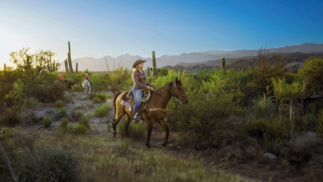 Photo of Others in Tanque Verde