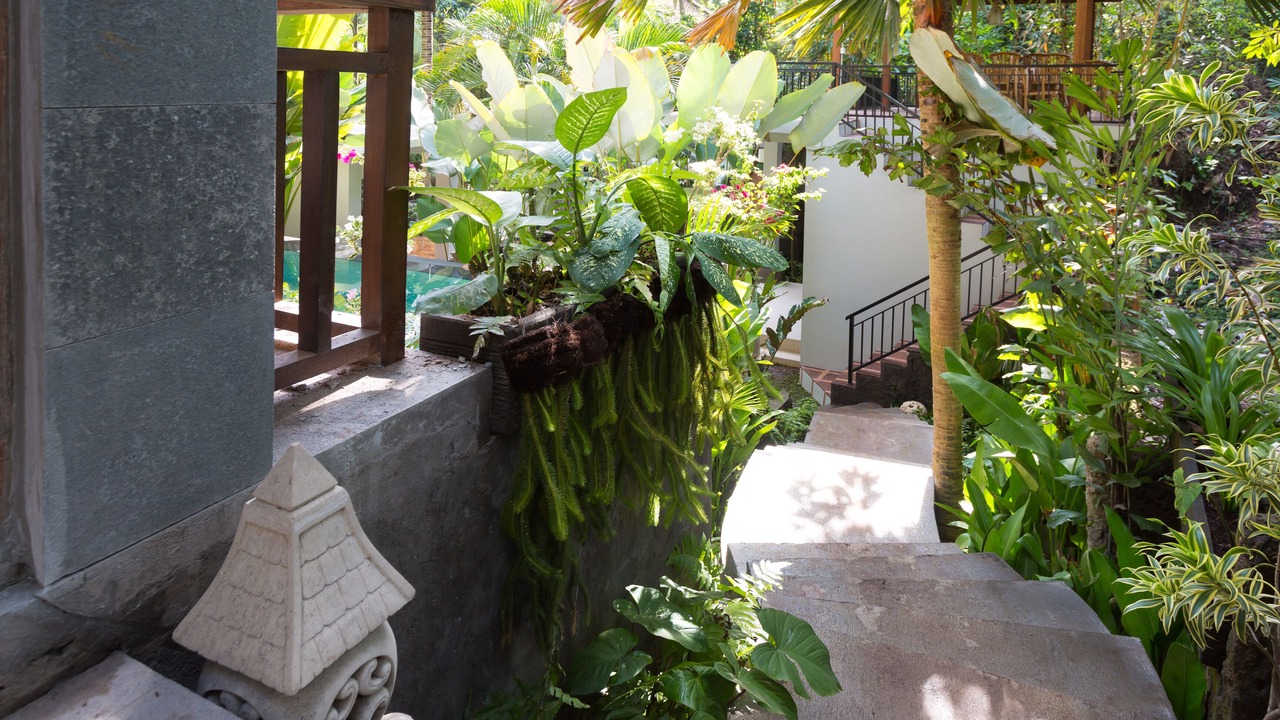 Photo of Outdoor in Kedewatan