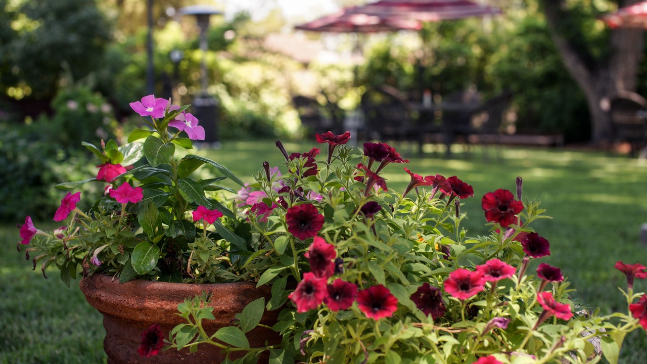 Photo of Outdoor in Carlsbad
