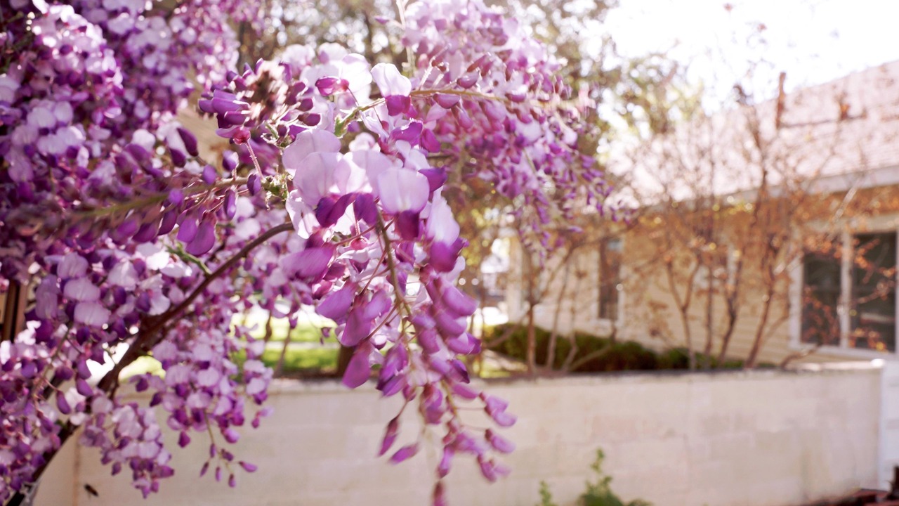 Photo of Outdoor in Carlsbad