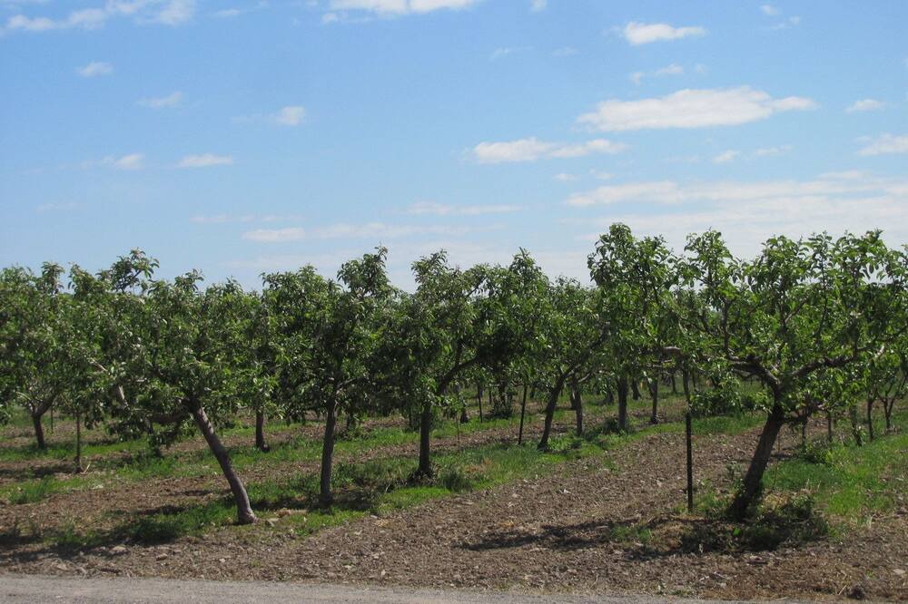 Photo of Outdoor in Virgil