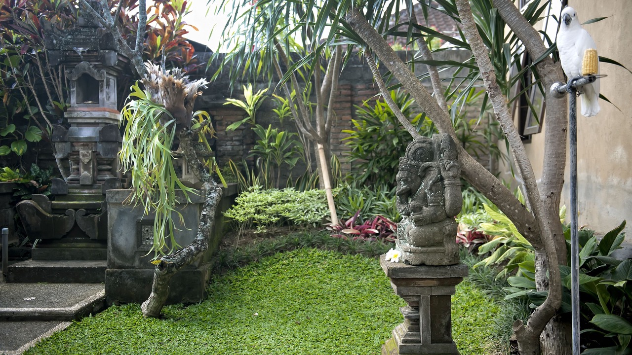 Photo of Outdoor in Ubud City-Centre