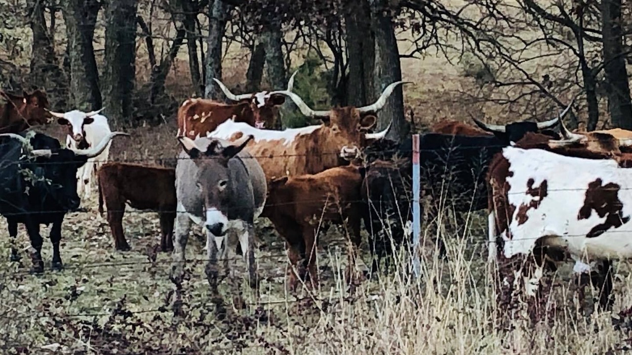 Photo of Others in Lawrence