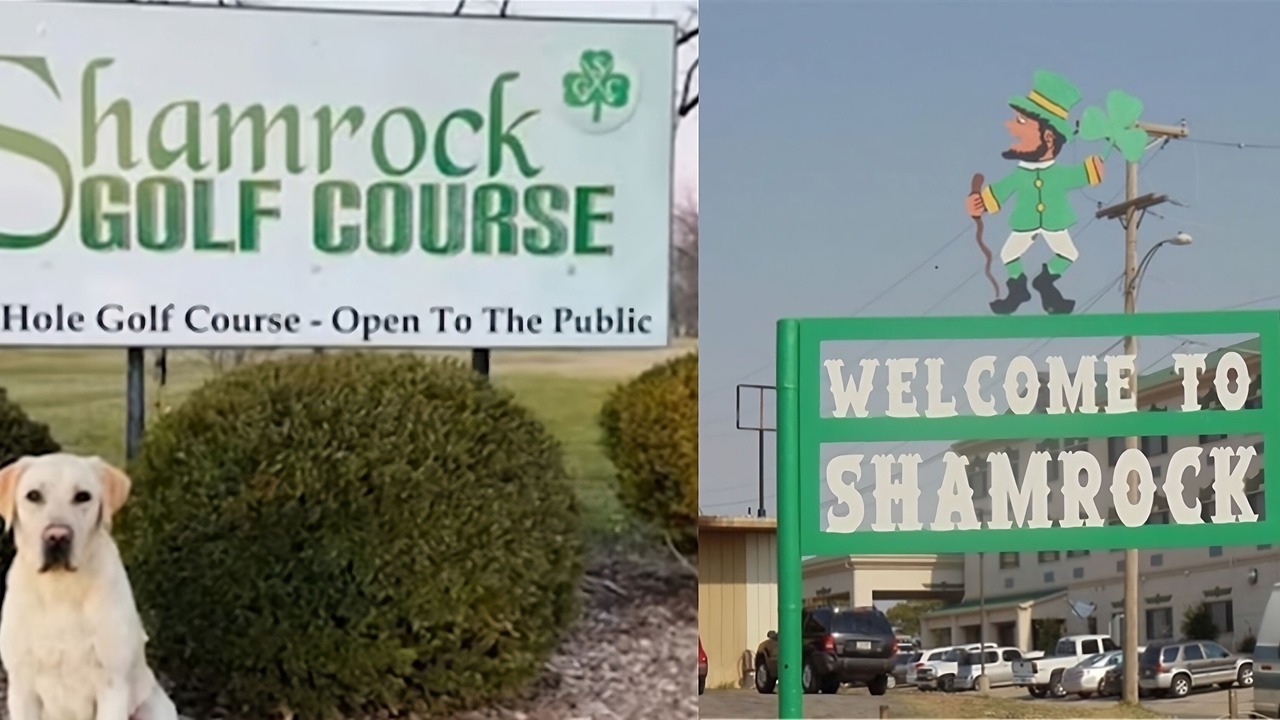 Photo of Others in Shamrock