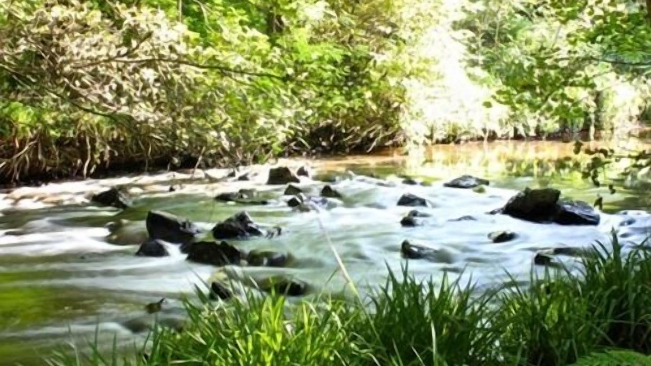 Photo of Others in Craigavon