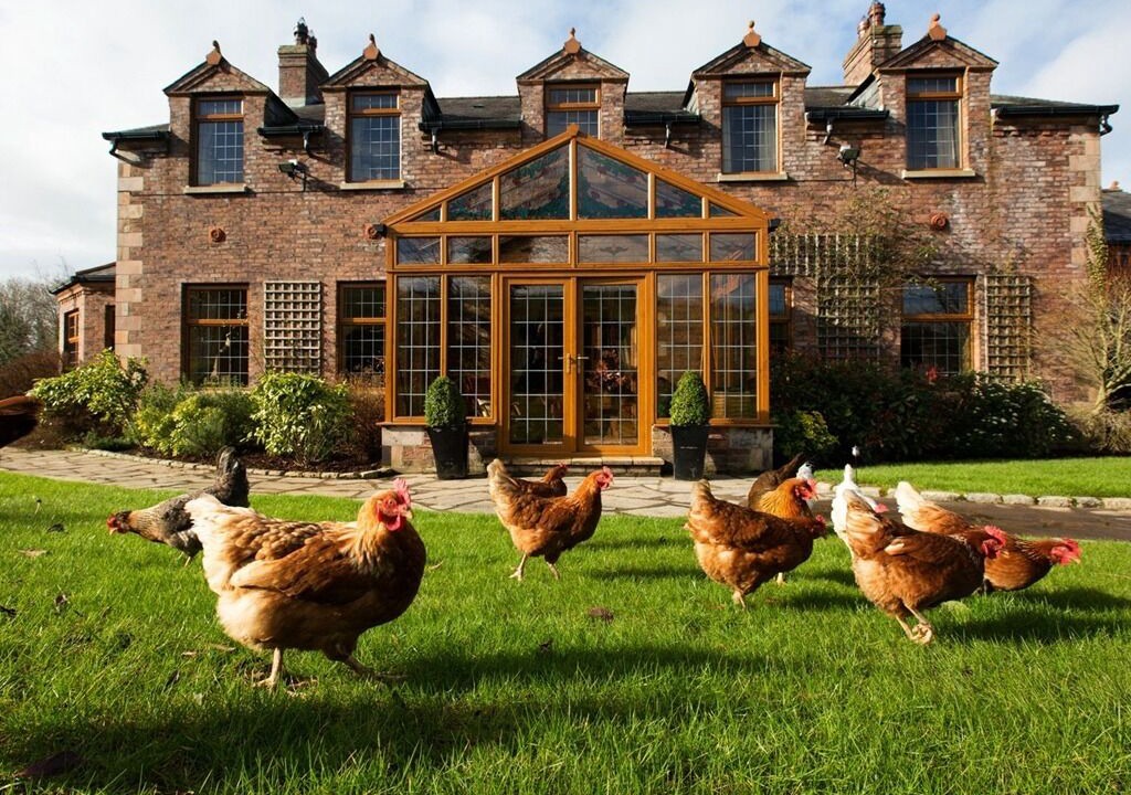 Photo of Buildings in Craigavon